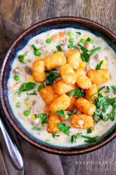 Tater Tot Dish Soup recipe on BaconFatte.com